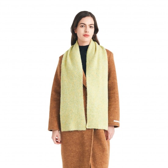 Cross-border Foreign Trade 2025 New Autumn and Winter Korean version male and female student faux cashmere with floral patterns solid color knitted woolen scarves