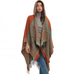 New tassel cape from the manufacturer, Amazon export, European and American spring, autumn and winter, ethnic style jacquard hooded cape shawl