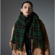 Wholesale of cross-border hot foreign trade new style scarves, European and American autumn and winter fringed green checkered scarves and shawls from Tonglu manufacturer Wholesale of cross-border hot foreign trade new style scarves, European and American autumn and winter fringed green checkered scarves and shawls from Tonglu manufacturer